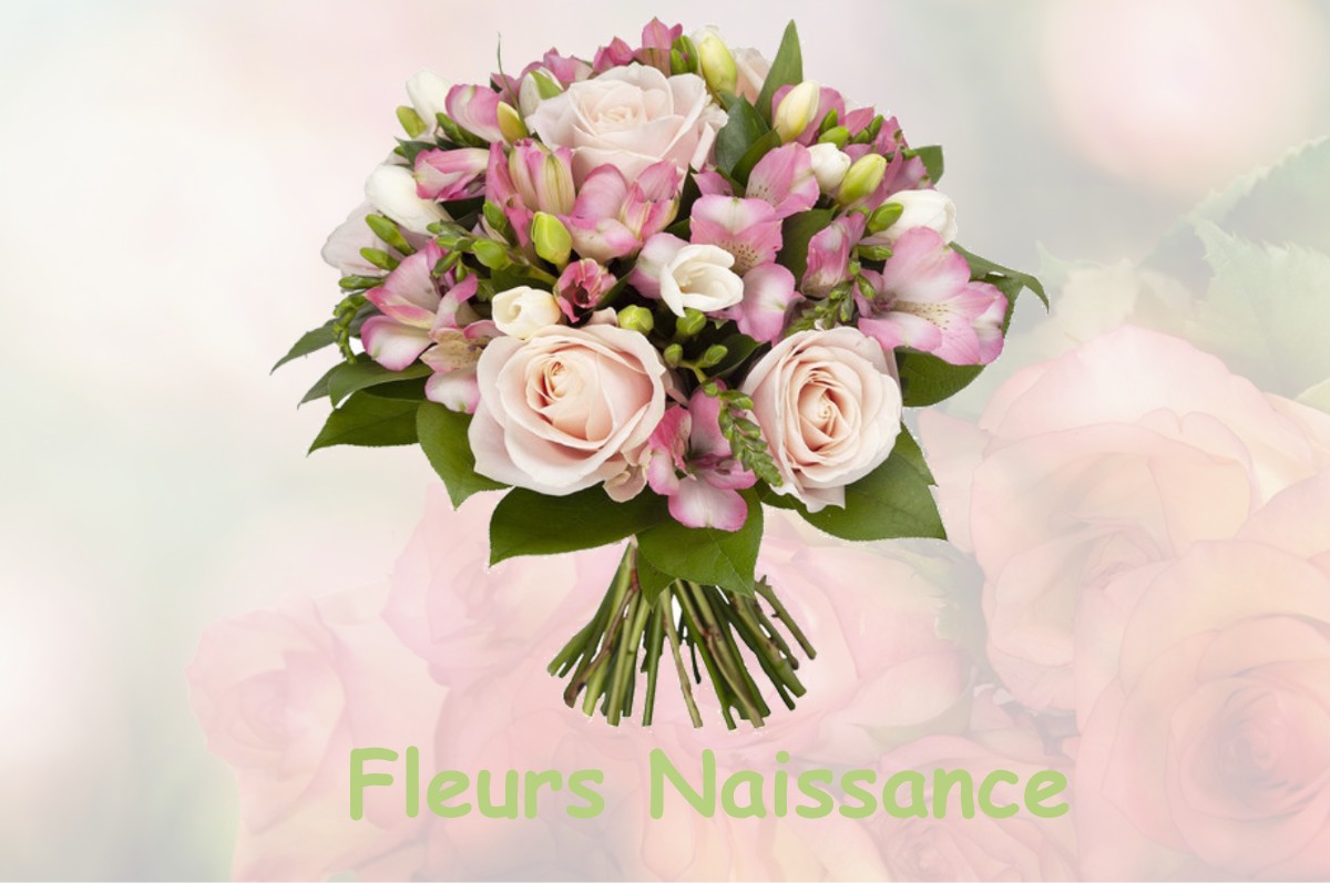 fleurs naissance SALERM