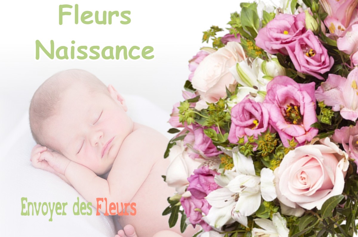 lIVRAISON FLEURS NAISSANCE à SALERM