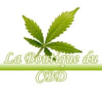 LA BOUTIQUE DU CBD SALERM 